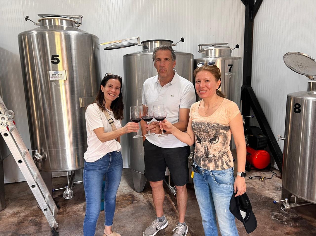 Viña Lares - Family Winery主图