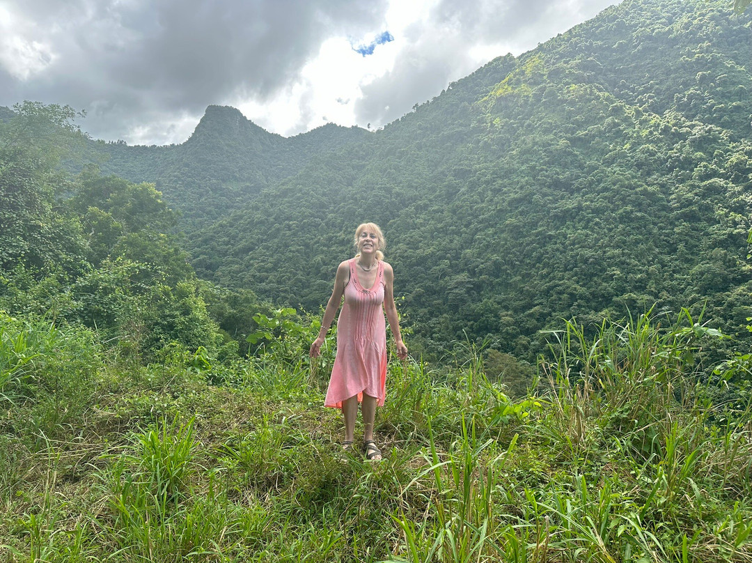 Toro Negro State Forest-波多黎各必去景点