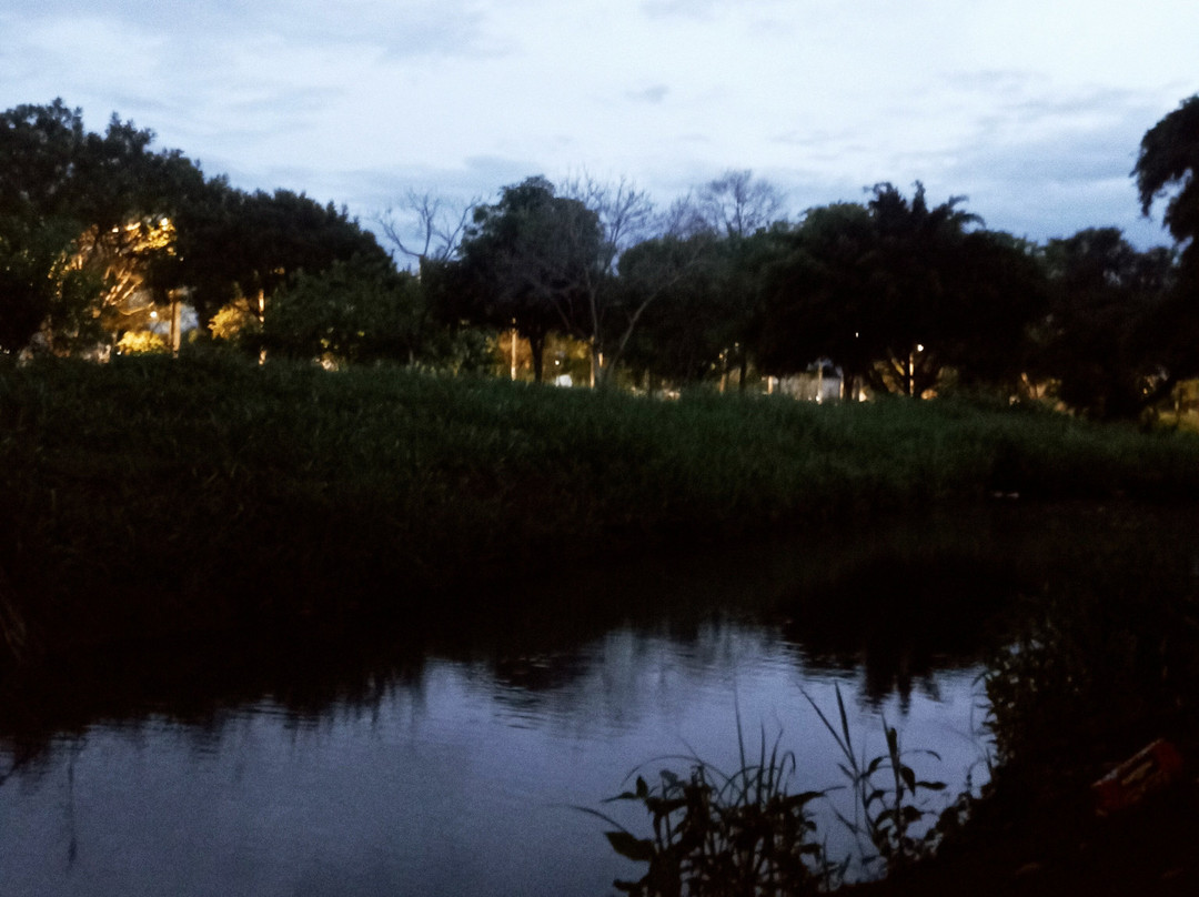 Parque Antenor Martins景点图片