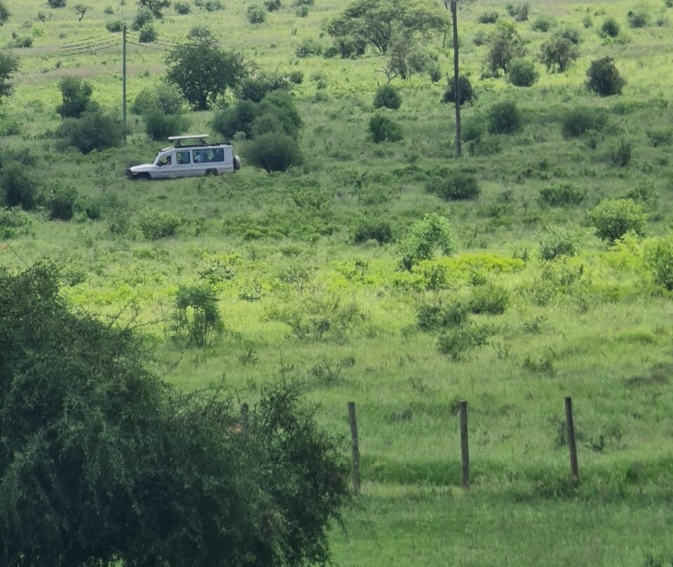 Taita Hills Wildlife Sanctuary景点图片