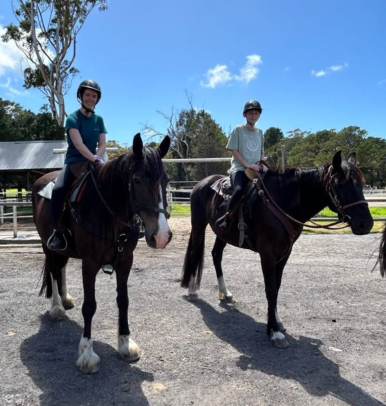 Darkes Forest Ranch-Darkes Forest必去景点