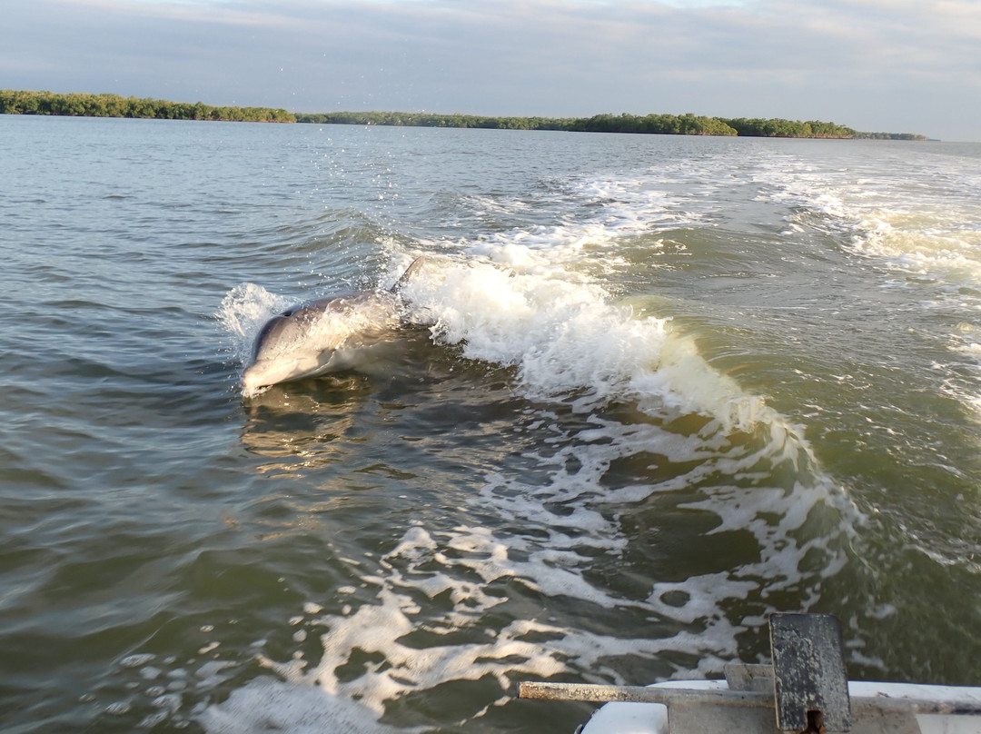 Everglades Boat Tours景点图片