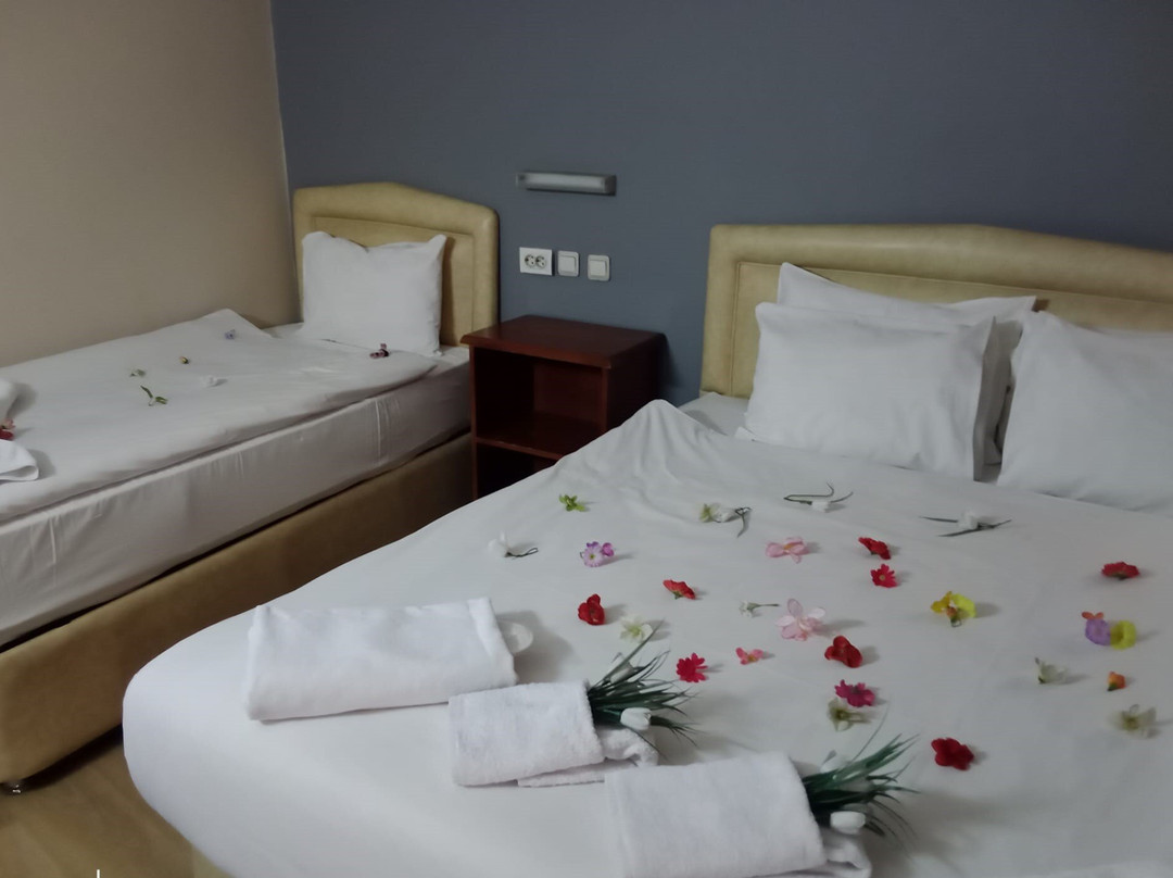 Hotel Cesmeli主图