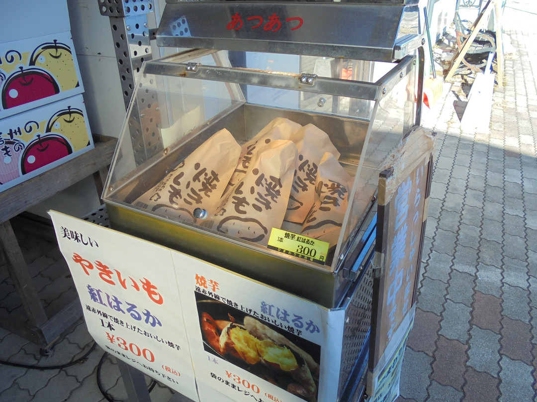 Michi-no-Eki Shinshu Hiraya-平谷村必去景点