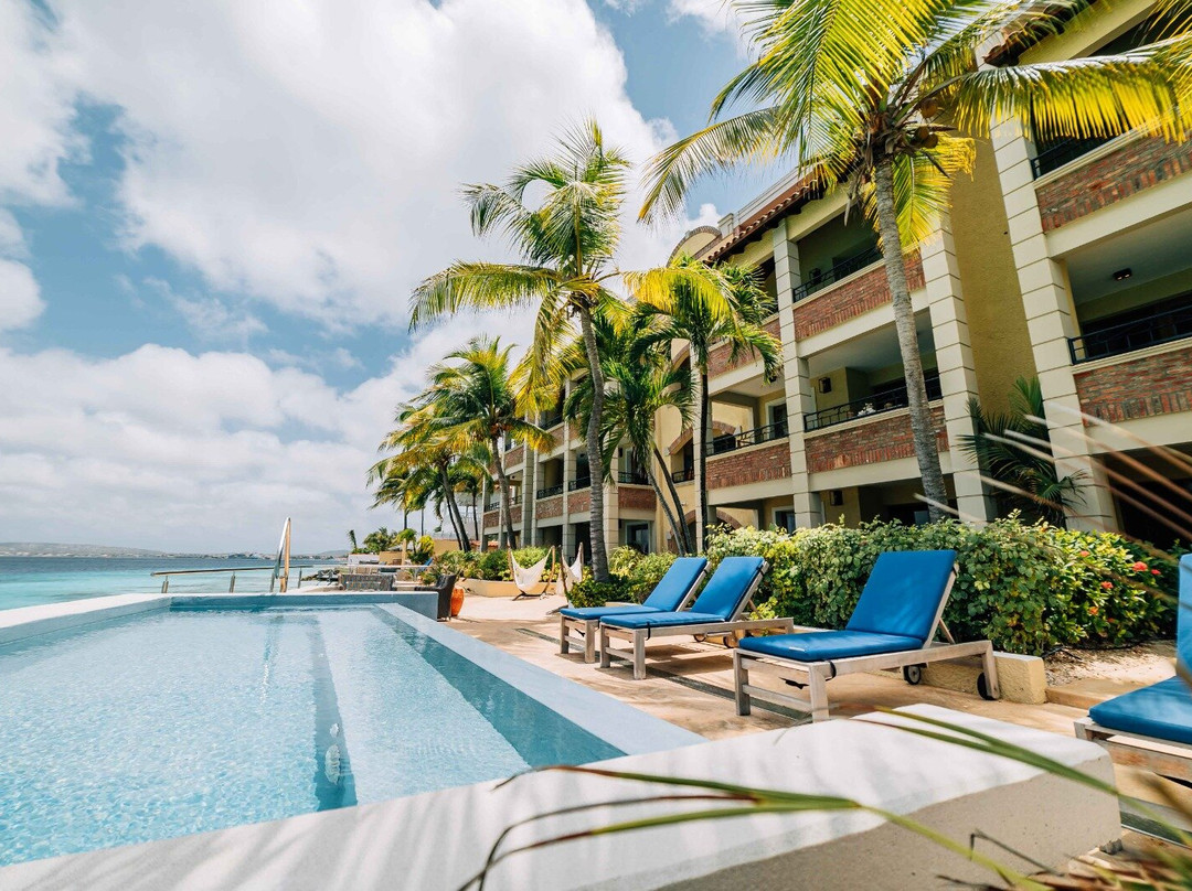 博奈尔岛酒店住宿-The Bellafonte - Luxury Oceanfront Hotel