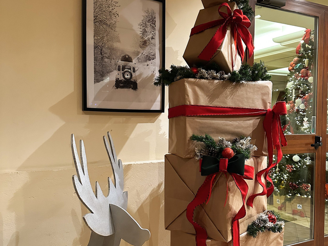 Hotel La Maielletta主图