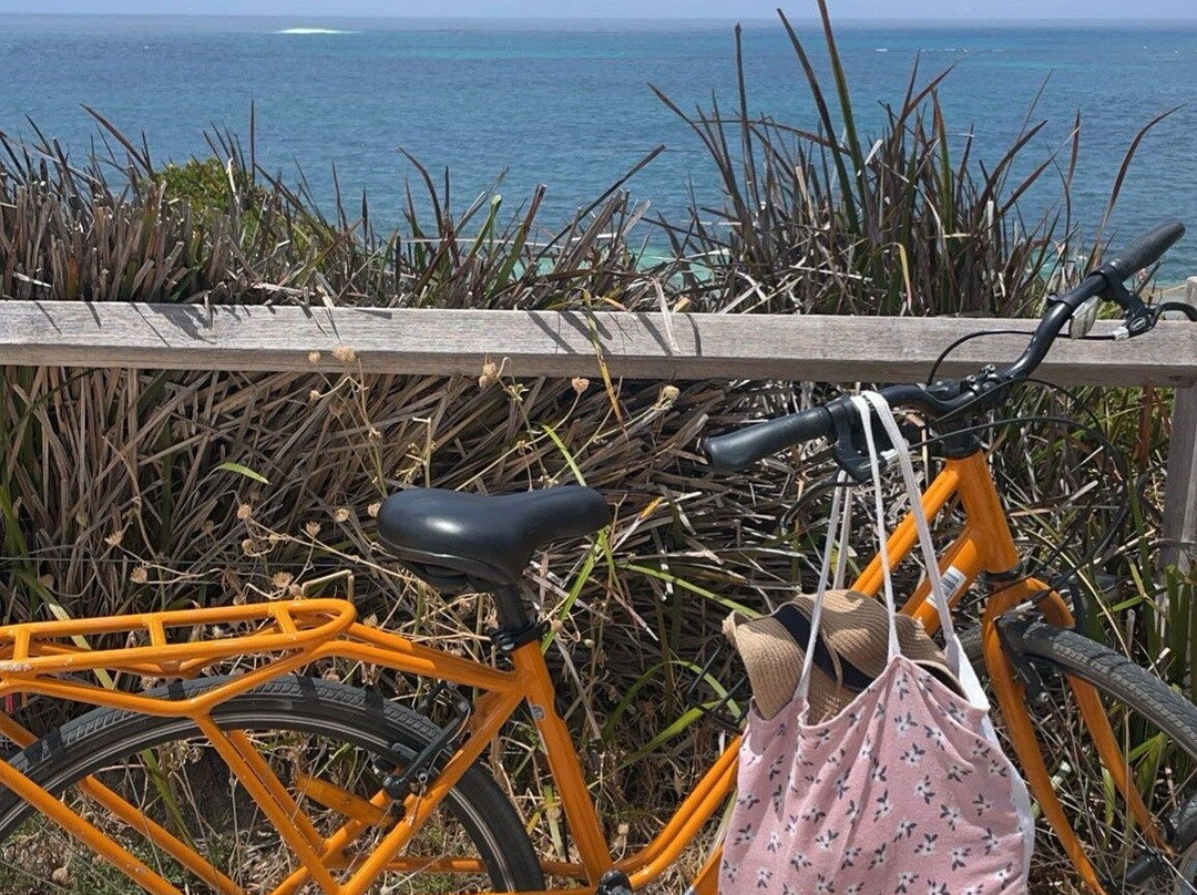 Rottnest Island Pedal and Flipper景点图片