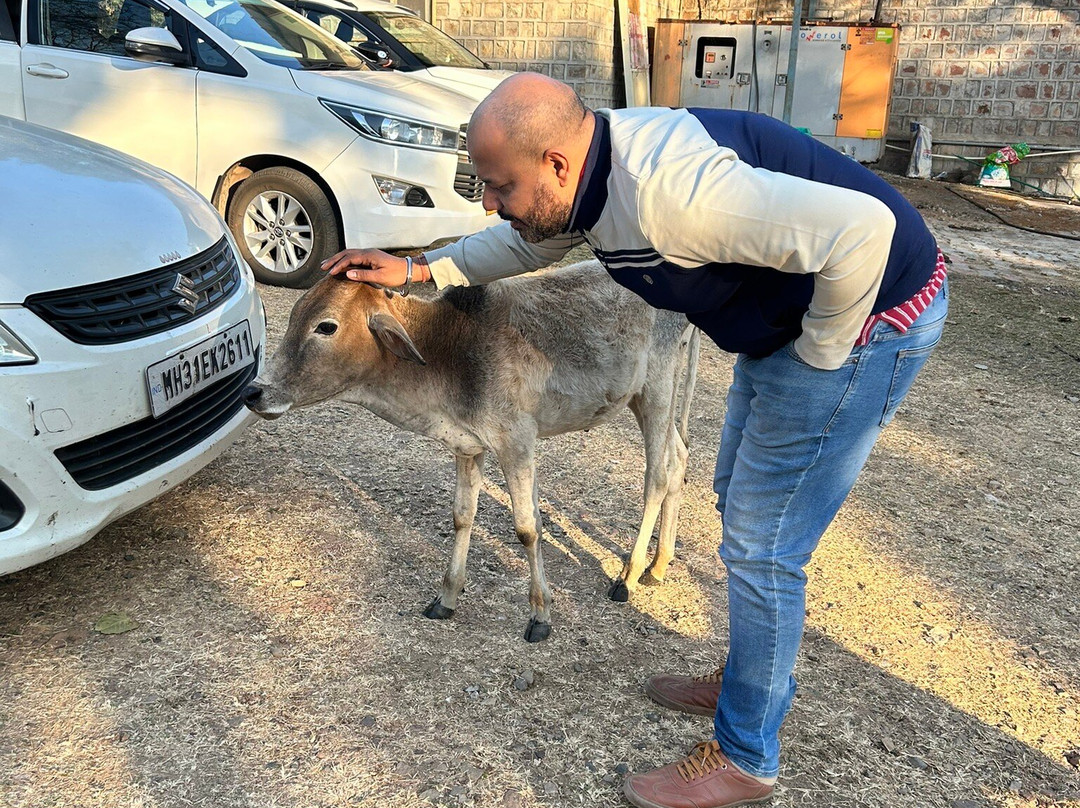 MPT Tana Bana, Chanderi主图