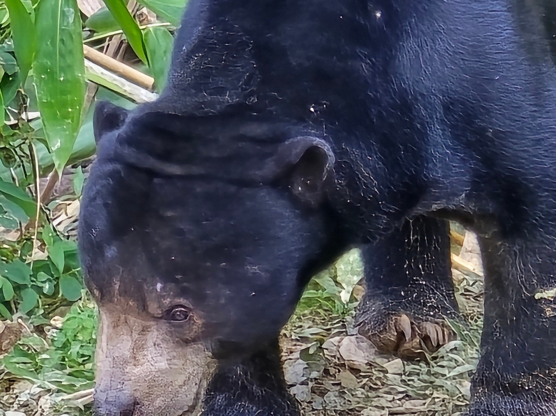 Kaeng Krachan National Park景点图片