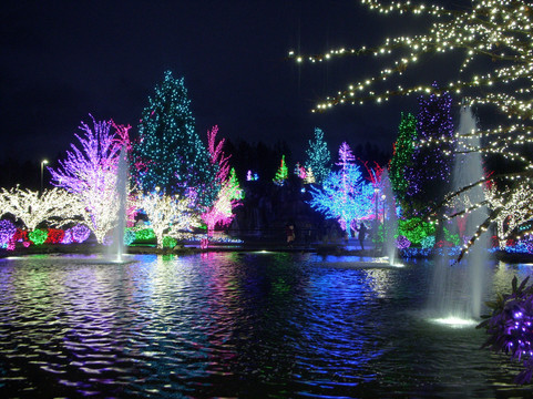 图拉利普度假酒店主图