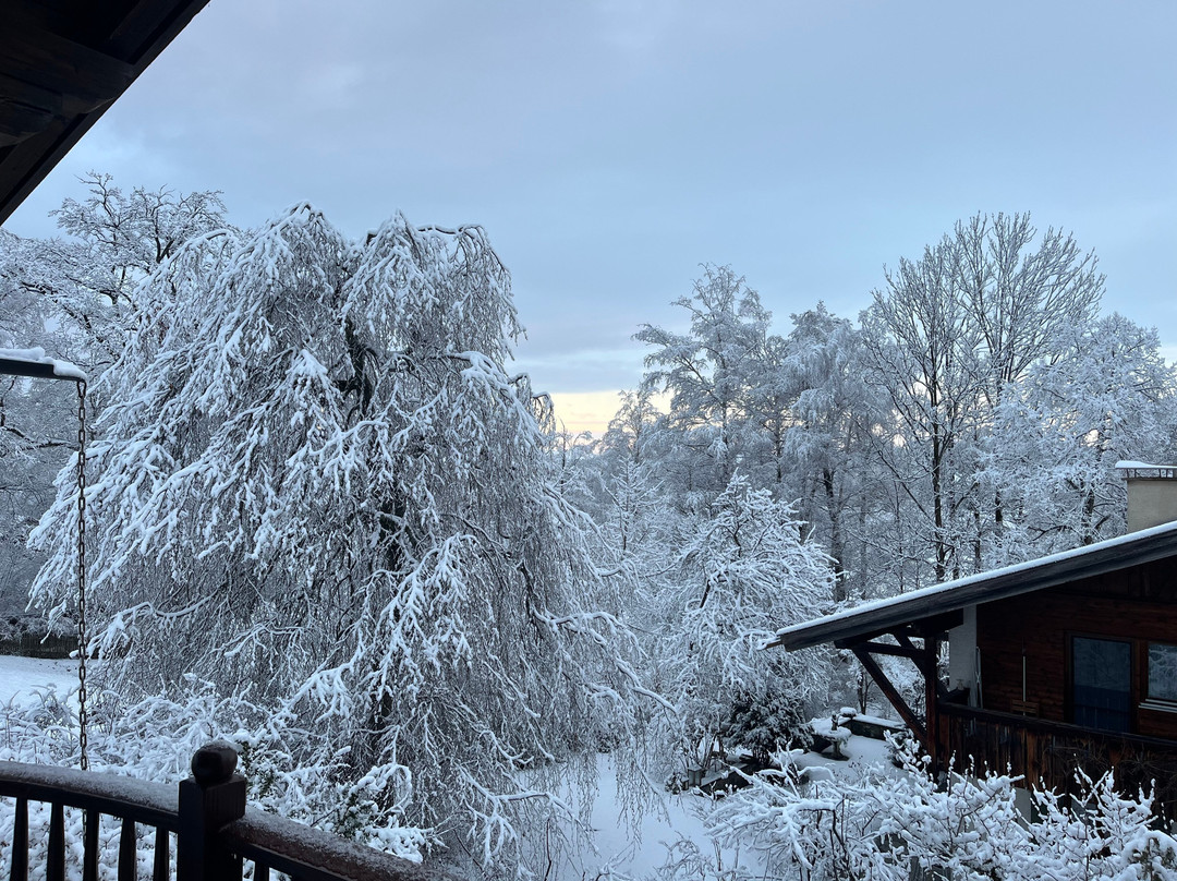 Gastehaus-Pension Vita Stafnensis主图