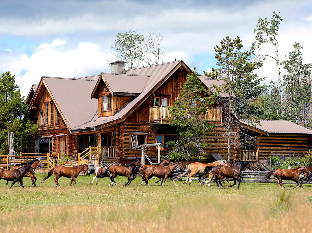 Siwash Lake Wilderness Resort & Ranch