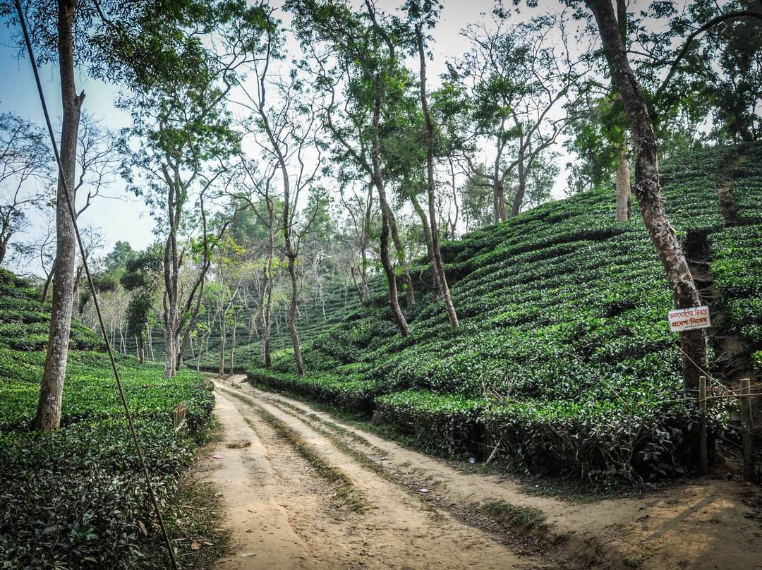 Bangladesh Scenic Tours景点图片