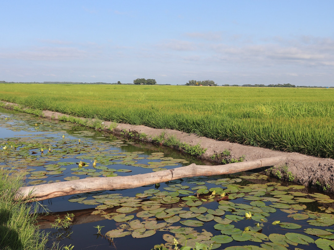 Explorando de 4x4 - Expedições e Ecoturismo