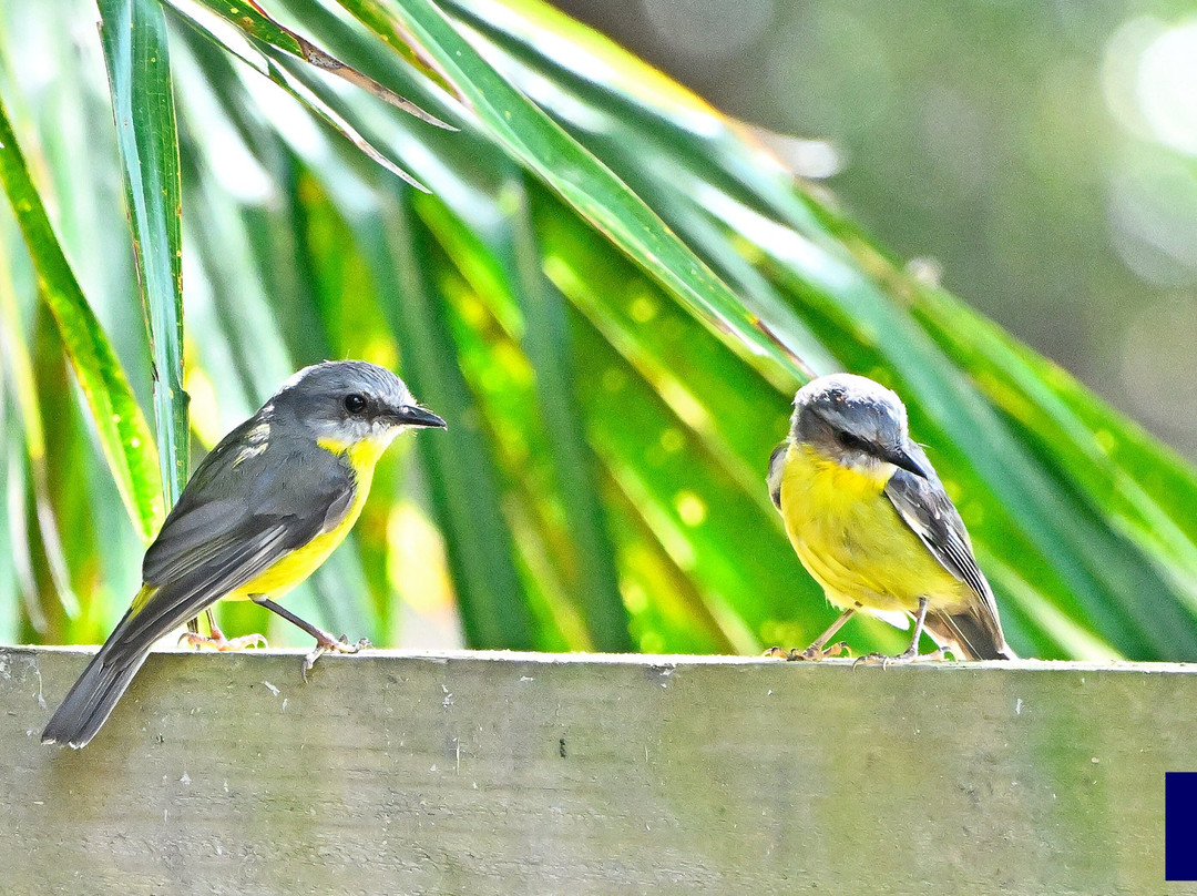 Myall River Camp主图