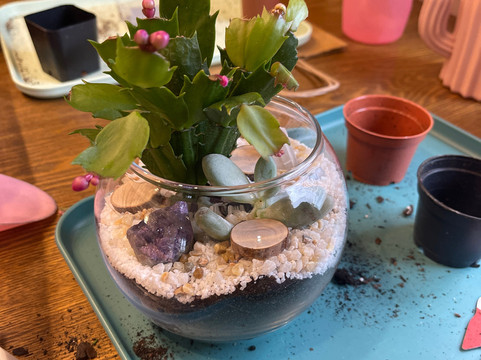 Abby's Garden Parties-Zionsville必去景点