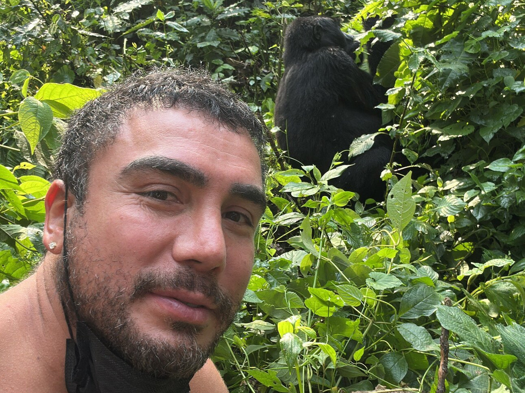 Rwanda Gorilla Trek - Day Tours景点图片
