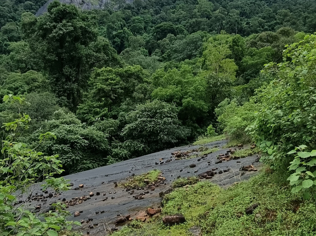 Kaludiya Pokuna景点图片