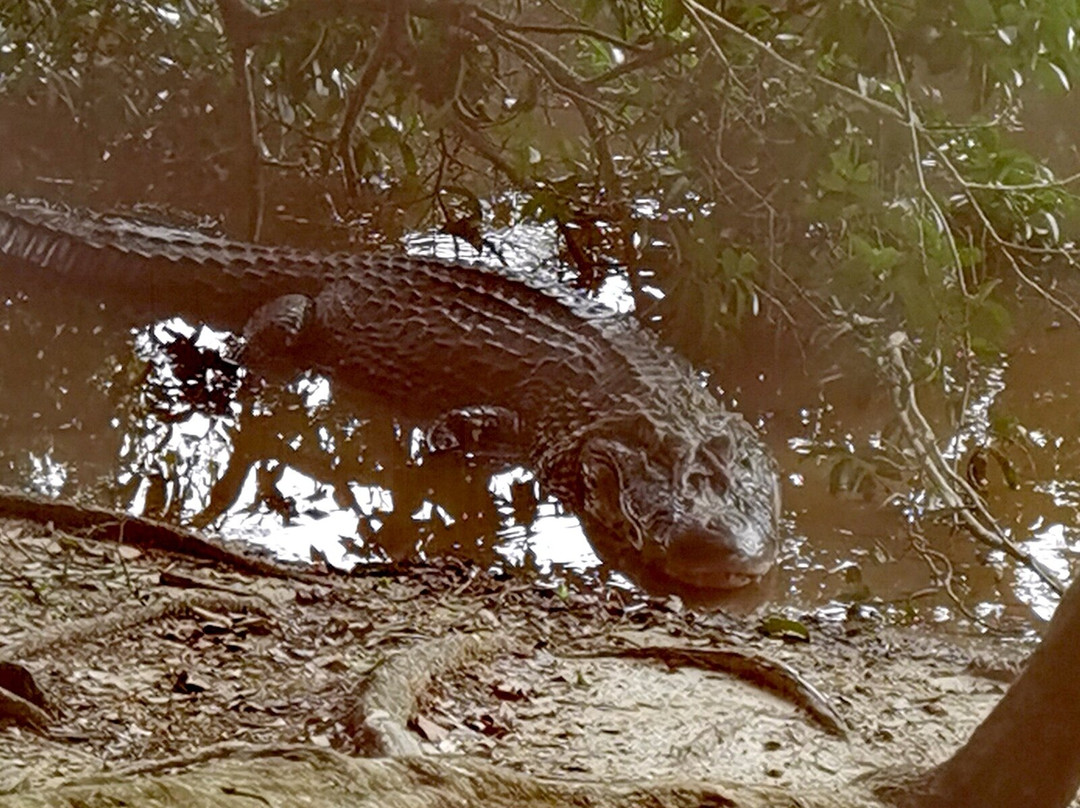 Fluvial Tours-Rurrenabaque必去景点