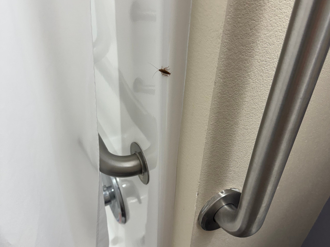 Microtel Inn & Suites by Wyndham Baton Rouge Airport主图