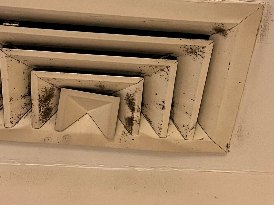 Krystal Monterrey主图