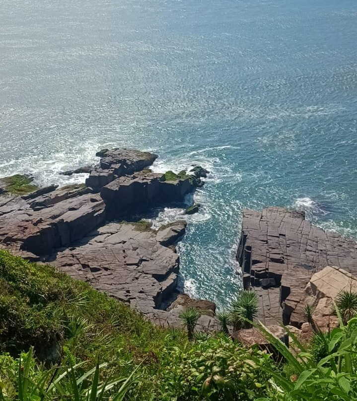 Praia Ponta Do Papagaio景点图片