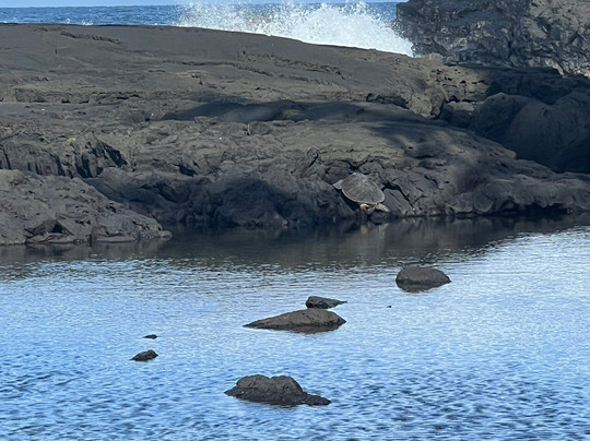 Kamaaina Custom Tours-希洛必去景点