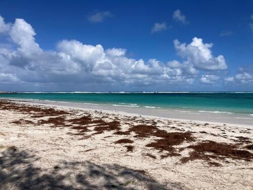 Edwards Island景点图片