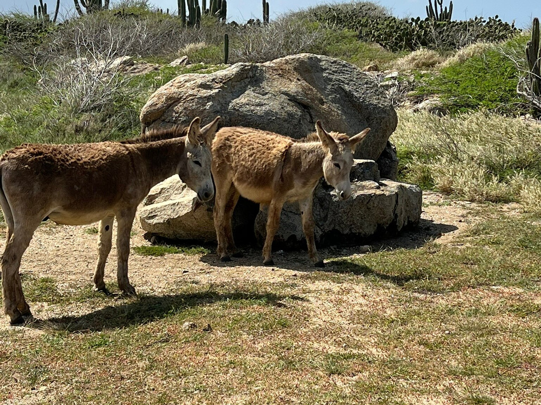 Anchor in Memory of All Seamen-San Nicolas必去景点