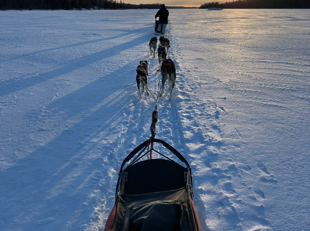 White Wolf Dog Sled Trips-伊利必去景点