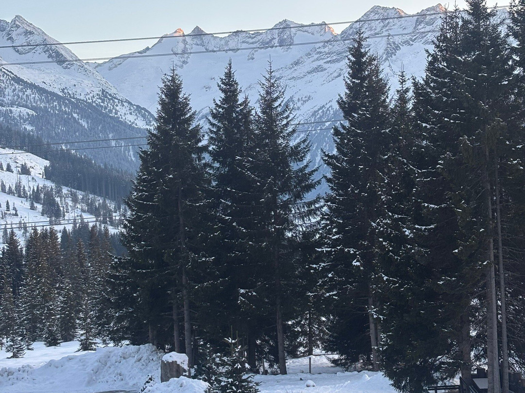 Berghotel Der Königsleitner - adults only (ab 16 Jahren)主图