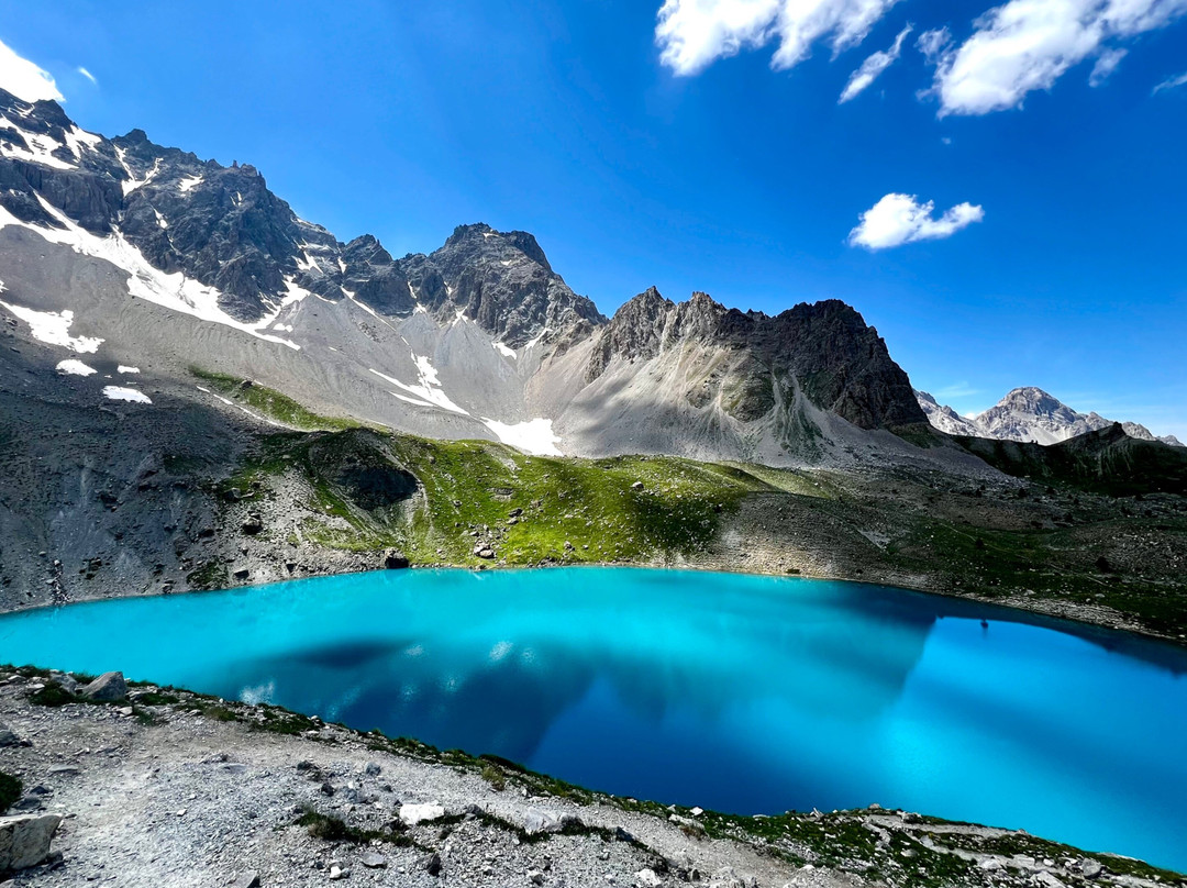 Nature Xplore