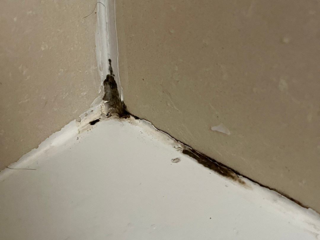 Quality Suites Sherman主图