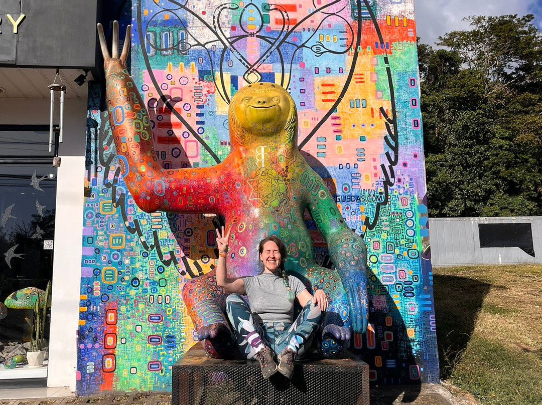 Ferlander Arguedas Studio & Art Gallery景点图片