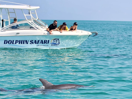 Dolphin Safari Charters-基韦斯特必去景点