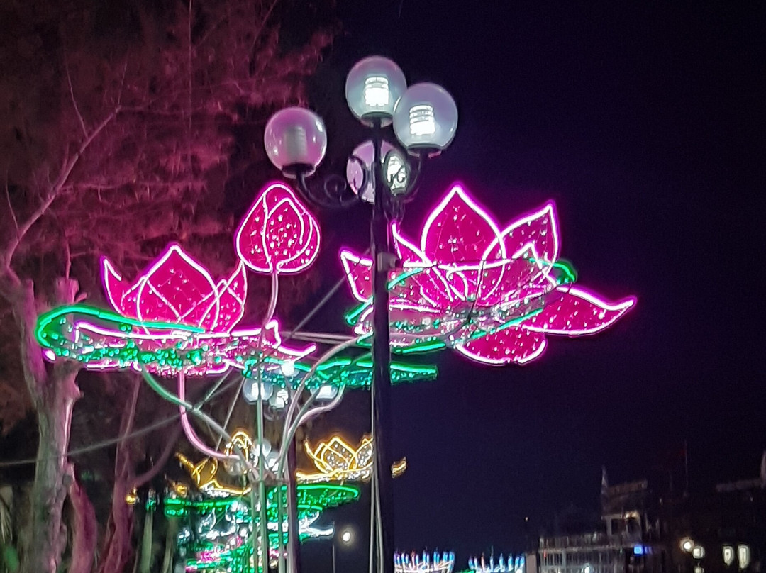 Hai Ba Trung Street-芹苴必去景点