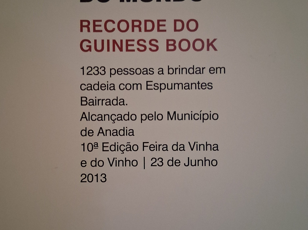 Museu Do Vinho Da Bairrada景点图片