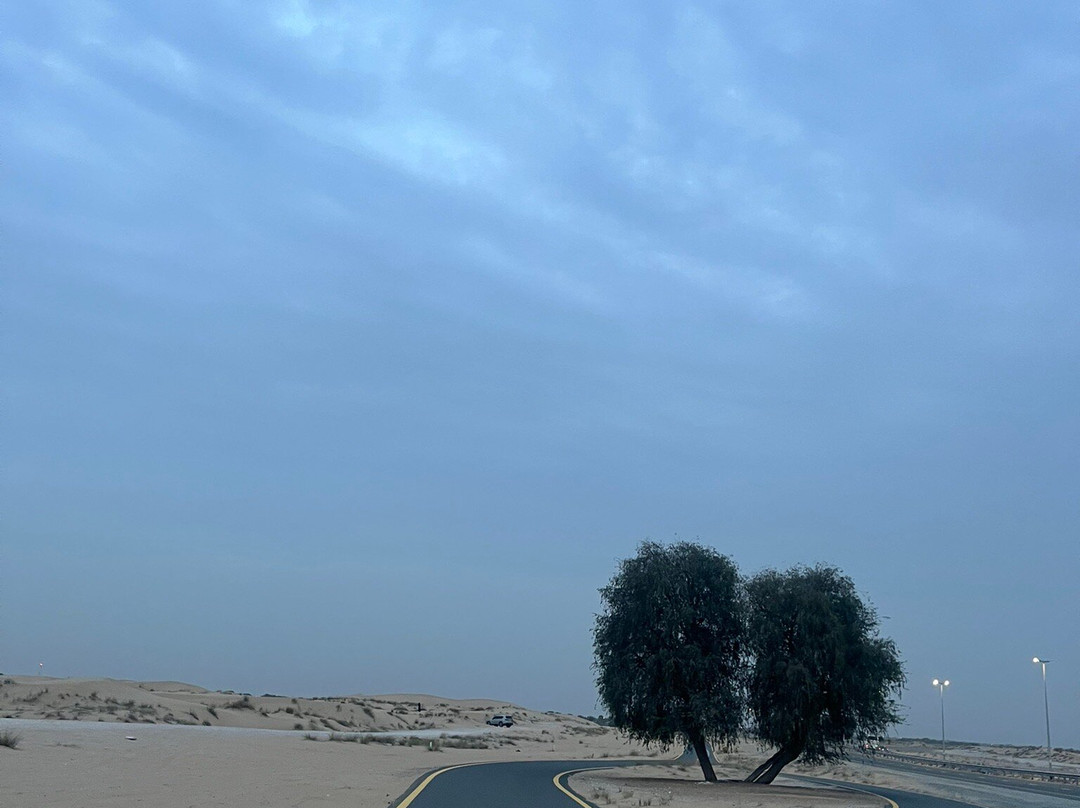 Al Qudra Cycle Path-迪拜必去景点
