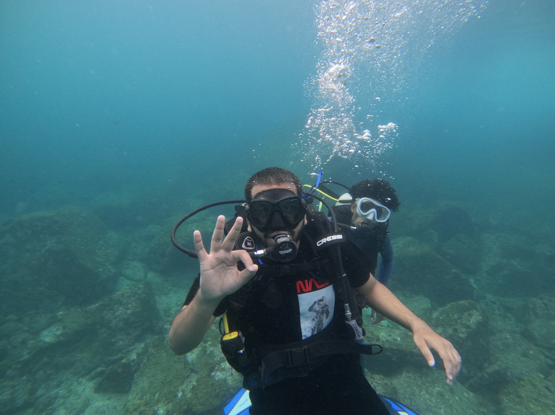 The Reef Adventures, Netrani景点图片