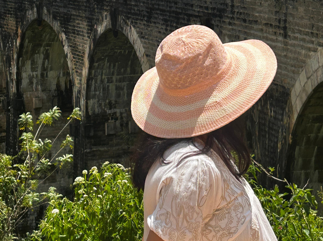 Round tour in Srilanka景点图片