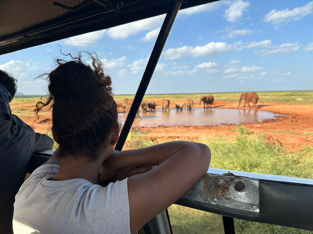 Terra Flora Gemstones-阿鲁沙必去景点
