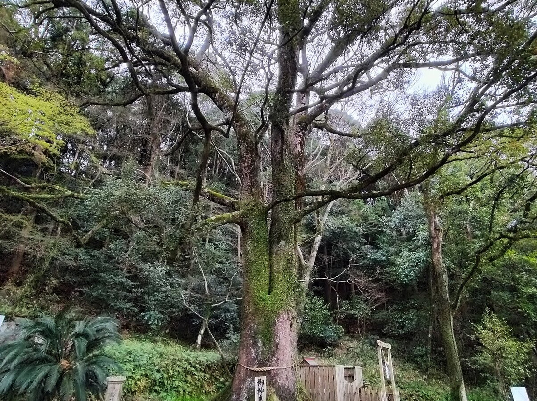 Kuwashihoko Shrine景点图片