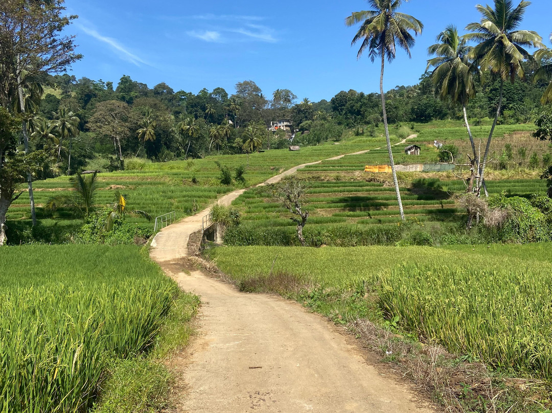 Sandalwood Valley-Leisure Bug Sri Lanka Tours & Home Stay主图