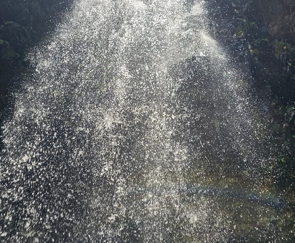 The Lost Waterfalls-Boquete景点图片