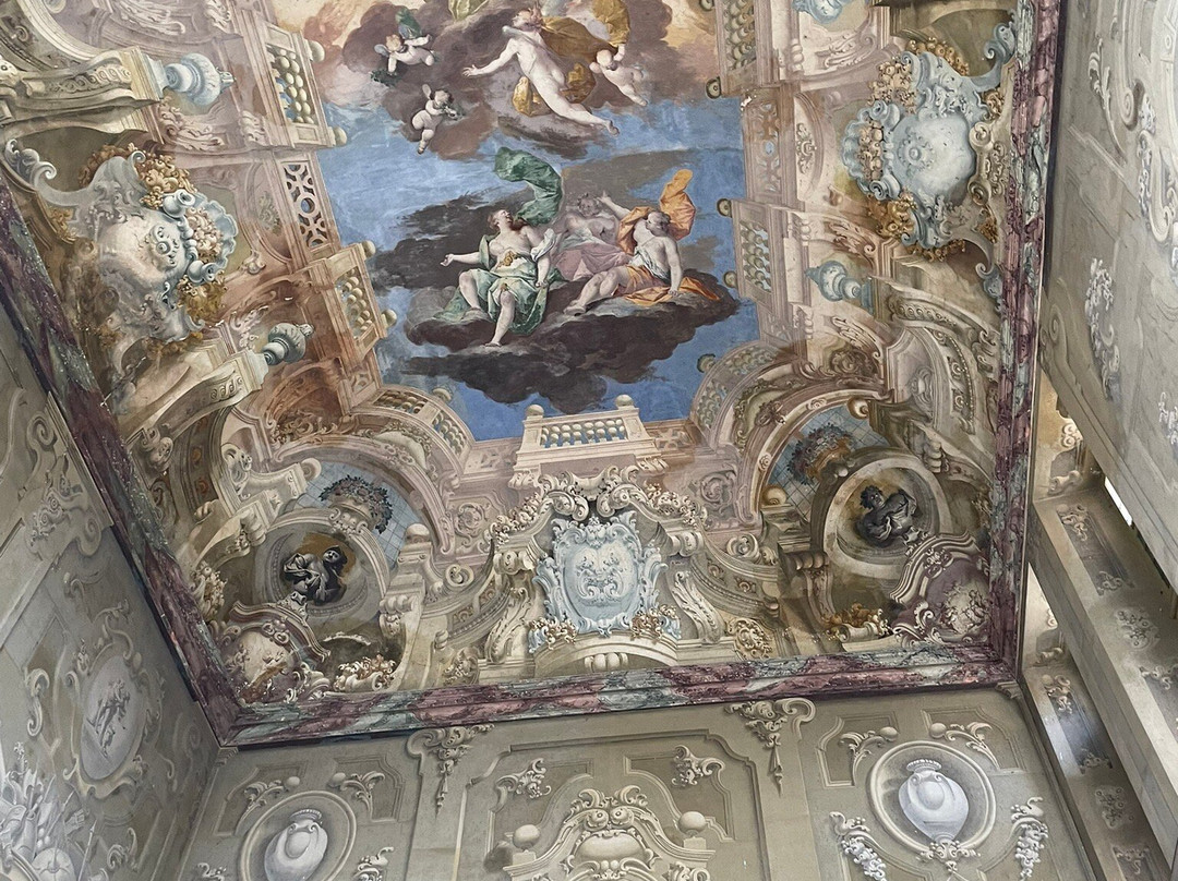 Palazzo Gozani Di Treville景点图片