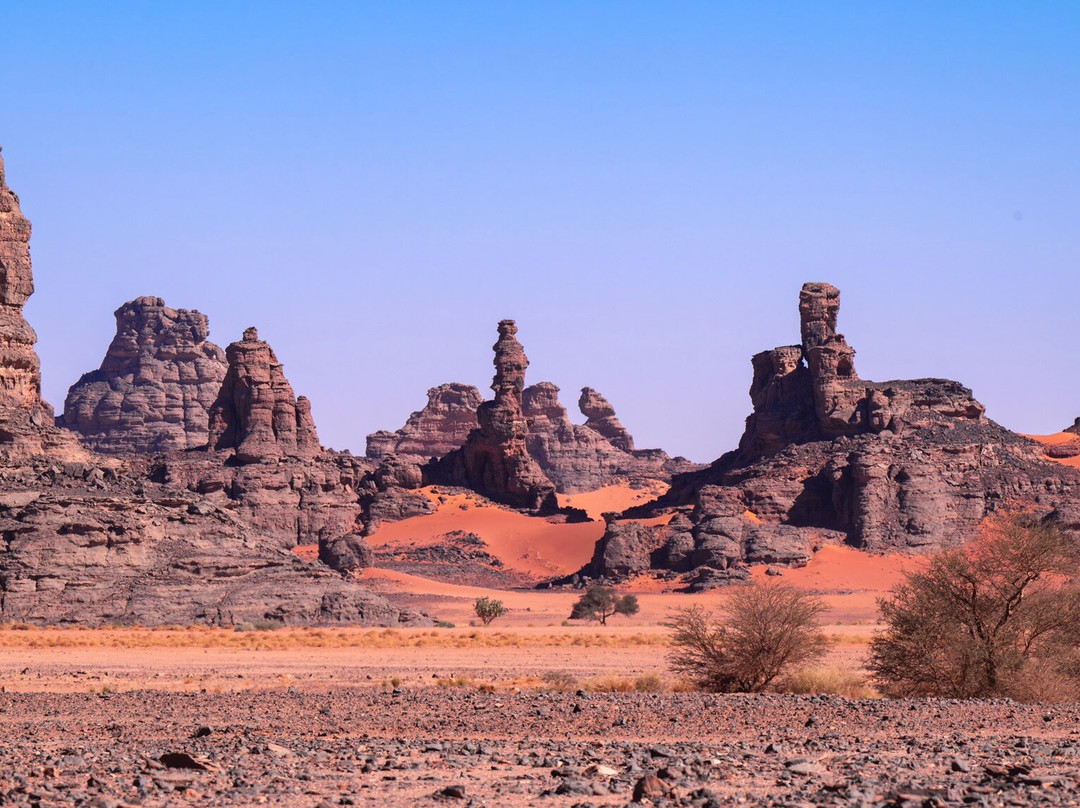 Tinariwen Tours景点图片