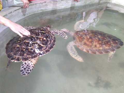 Sithu Tours and Taxi Service-马塔拉必去景点