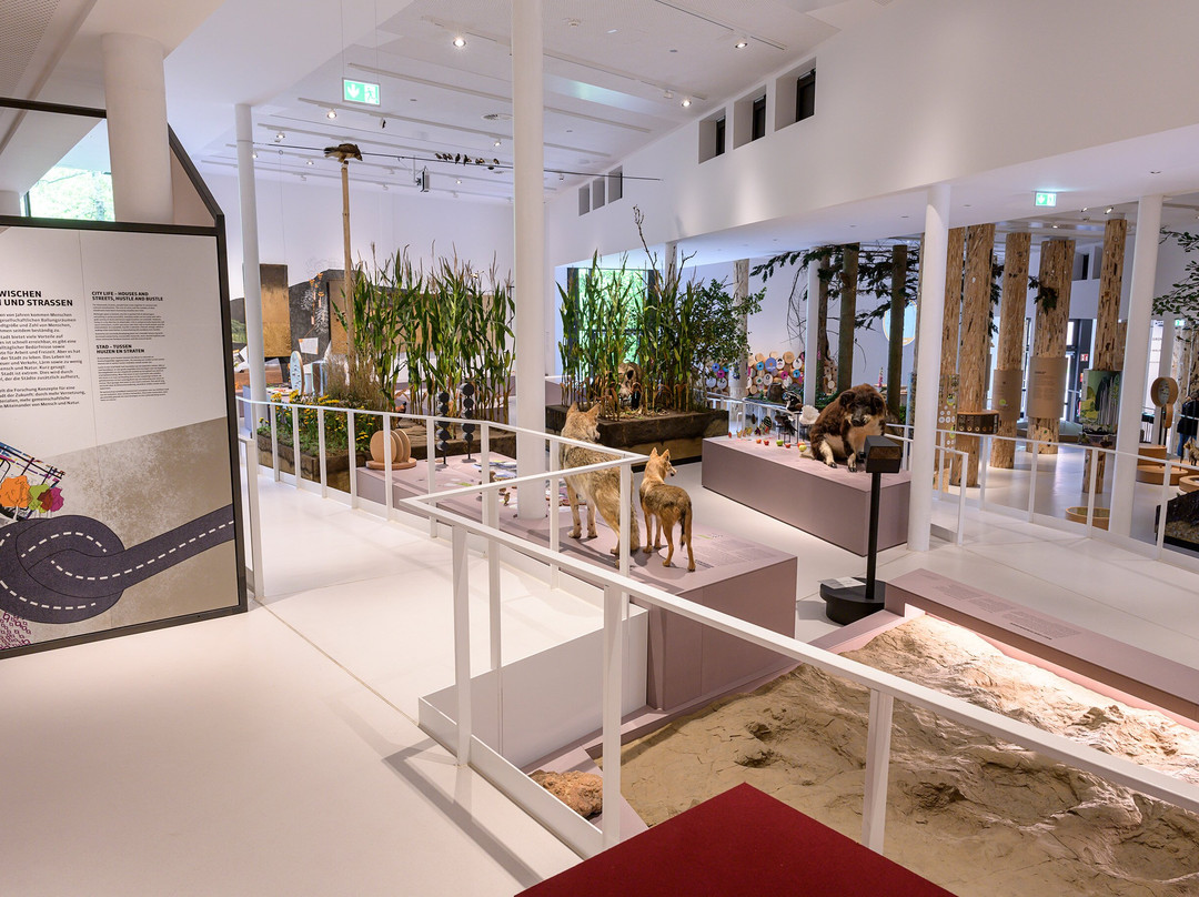 Museum Am Schölerberg-奥斯纳布吕克必去景点