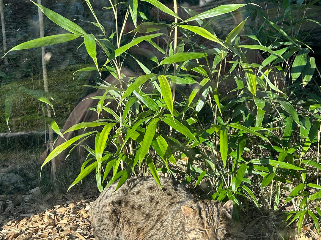 Curraghs Wildlife Park-Ballaugh必去景点