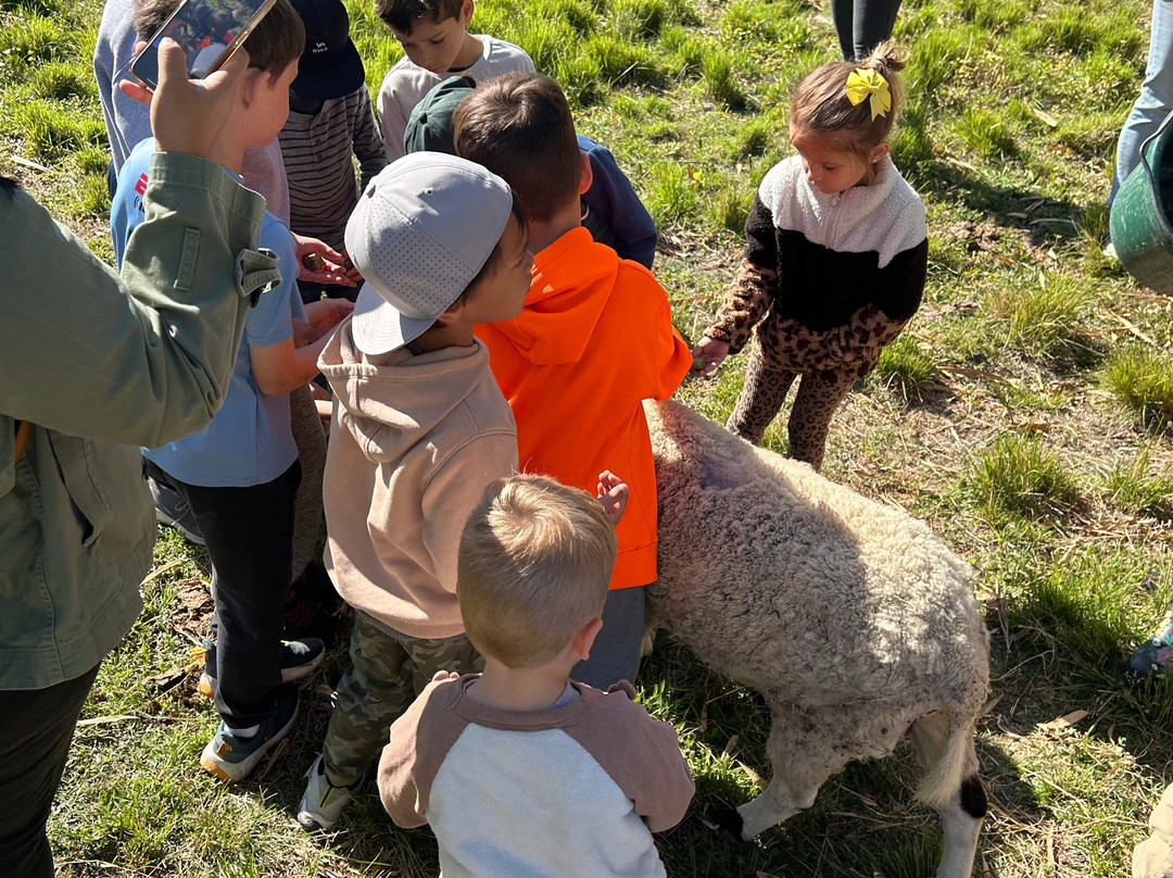Jupiter Creamery-朱庇特必去景点